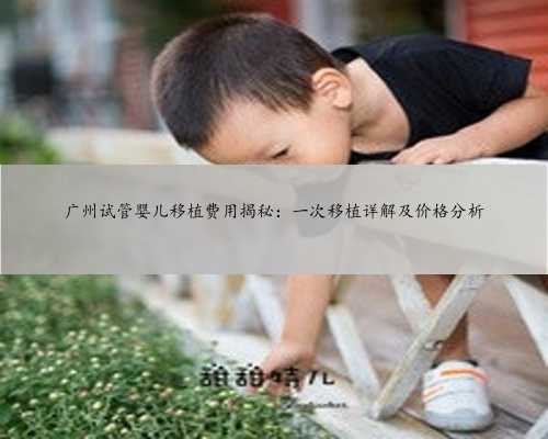 广州试管婴儿移植费用揭秘：