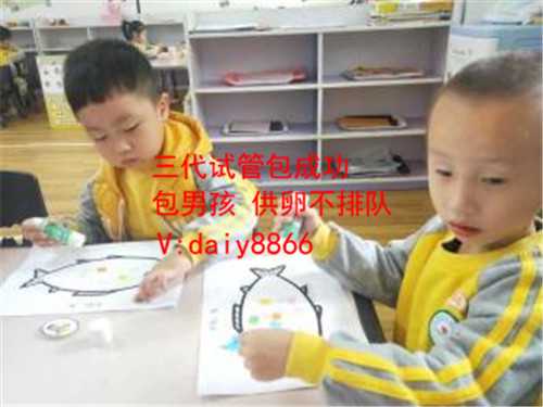 昆明供卵包男孩_北京试管婴儿移植术的费用是多少